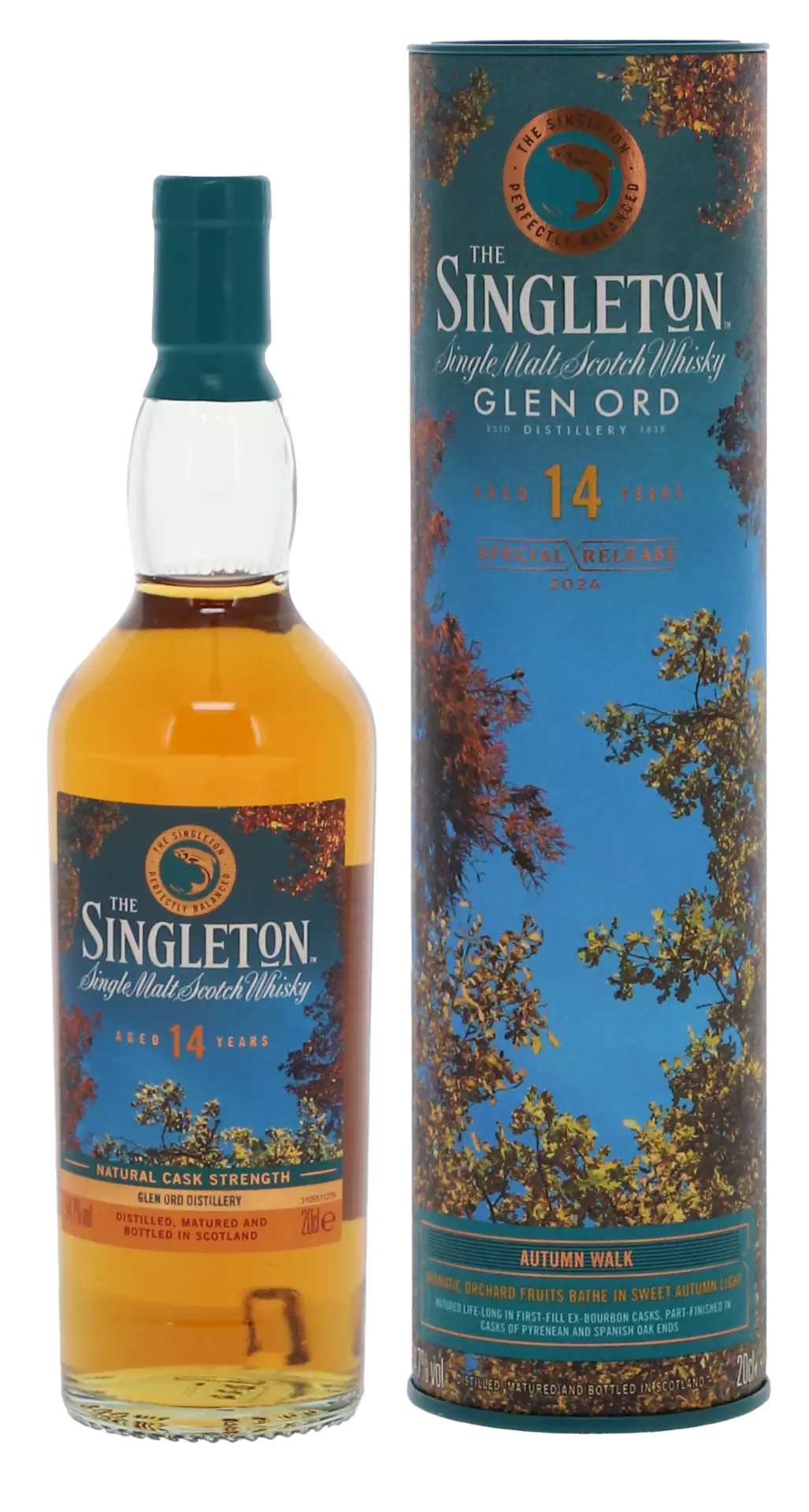 The Singleton 14 Year Old Autumn Walk